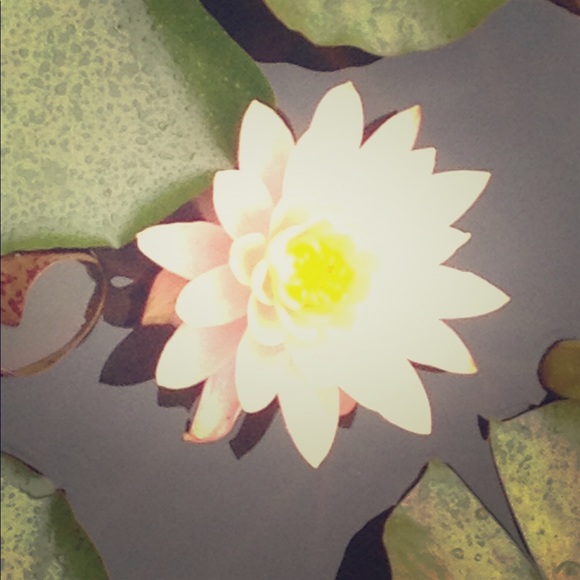 Casual, classy, professional, boho - Picture 1 of 1